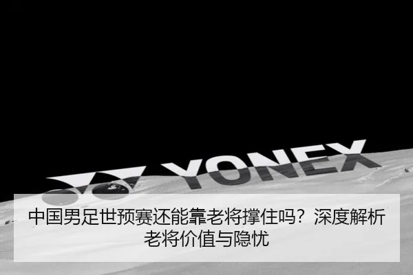 中国男足世预赛还能靠老将撑住吗？深度解析老将价值与隐忧